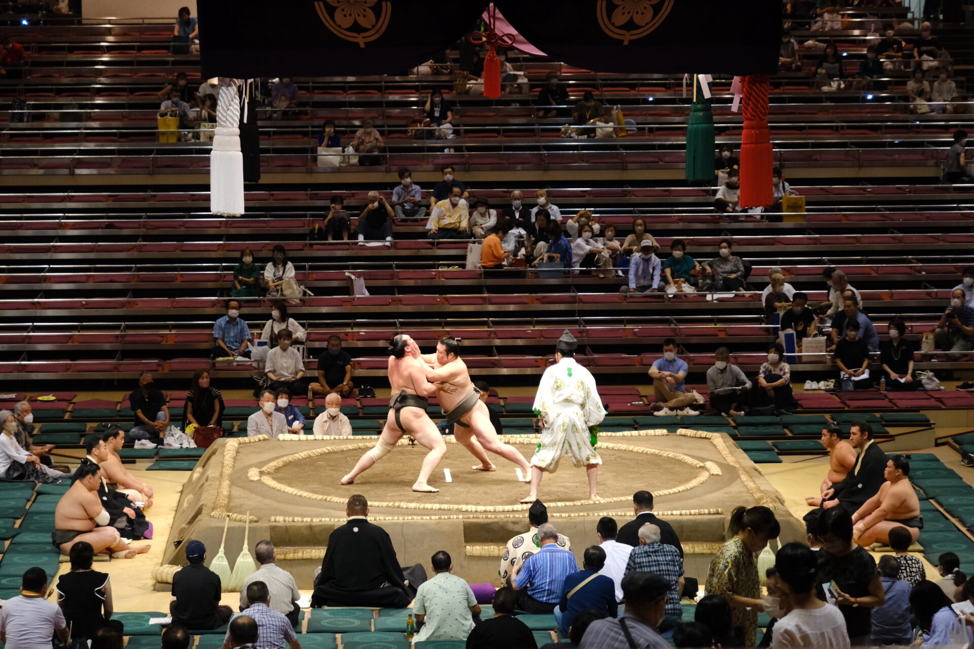 日本の国技を知り、伝統を味わう。 FIND SOPHIA