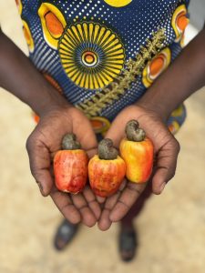 Beyond Africa-Sophia Bringing AFRICA Together-④<br>ガーナで事業を始めた上智生へのインタビュー